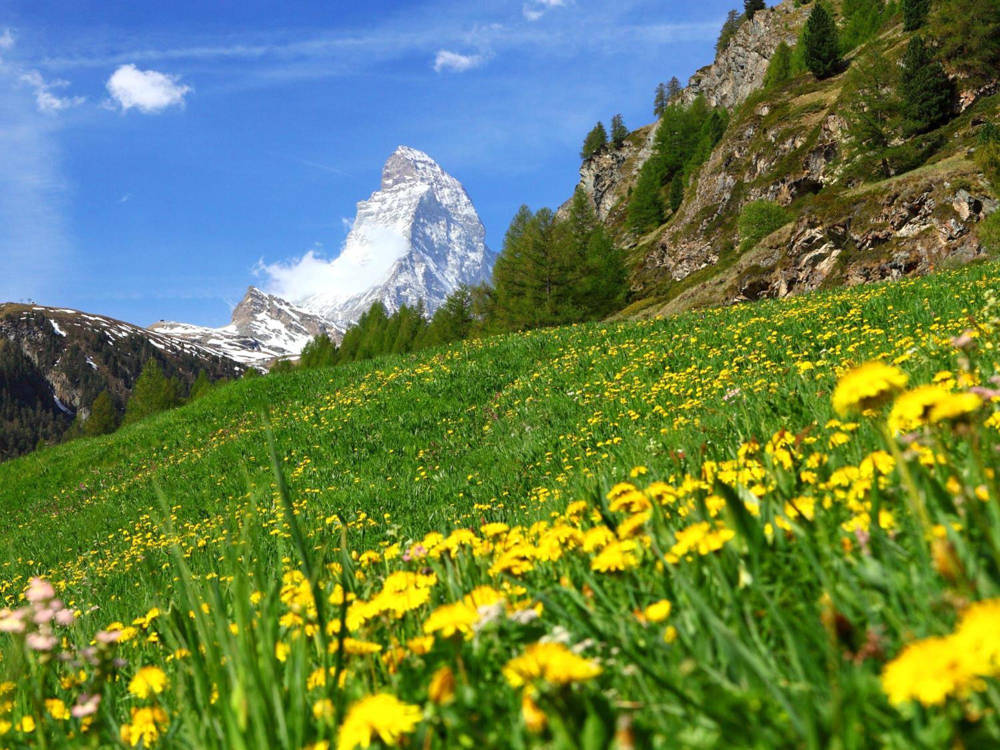 Primavista-5 By Interhome Zermatt